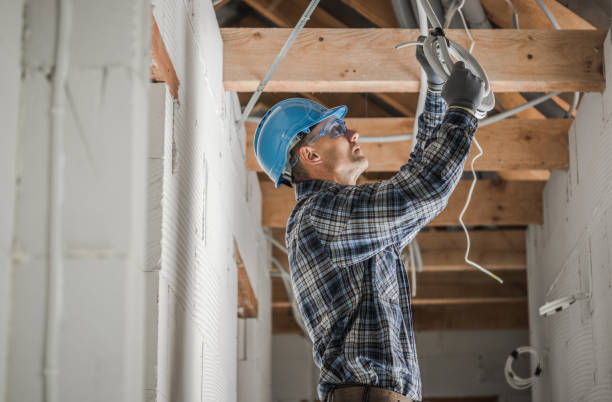 Best Home Electrical Repair  in Blooming Prairie, MN