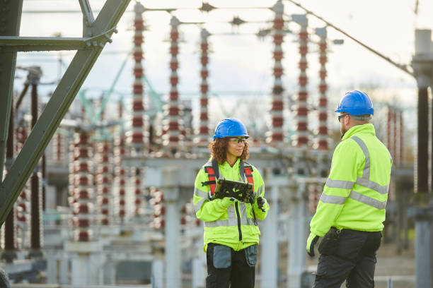 Best Home Electrical Repair  in Blooming Prairie, MN