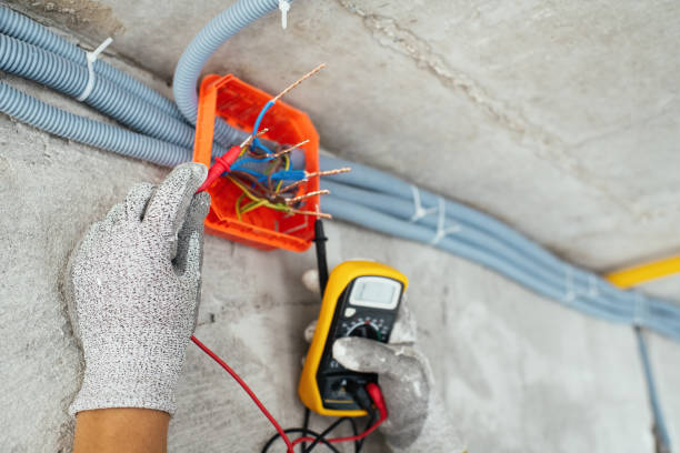 Best Commercial Electrician Services  in Blooming Prairie, MN